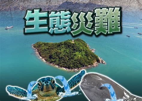 填海的壞處|《逢島必輸？從世界爛島預示「明日大嶼」》報告